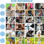 Five foot durable nylon leash attached to Aiitle tiny pet harness