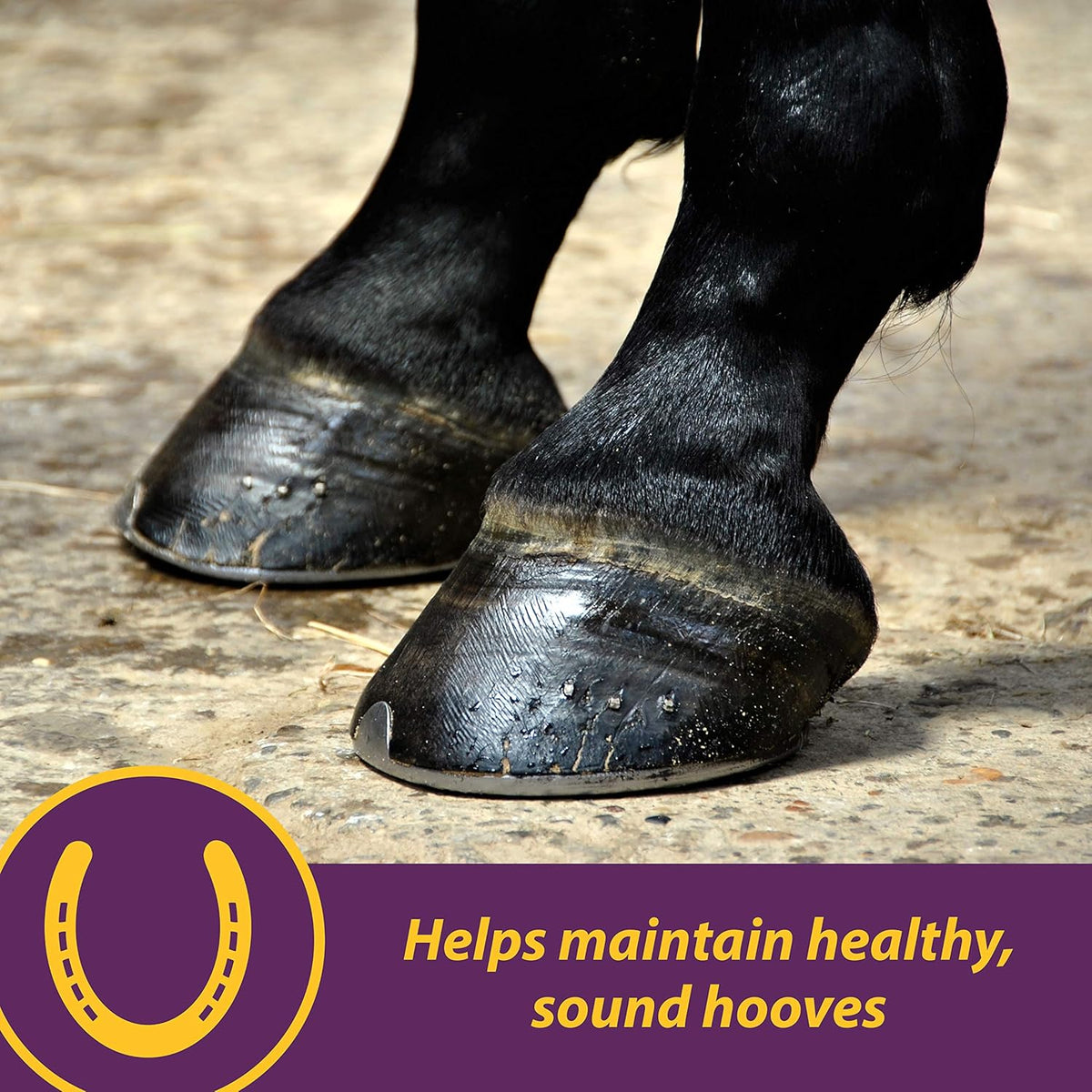 Horse Health Vita Biotin Crumbles three pounds container nutritional facts panel