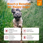 Zesty Paws Cardio Bites bottle display highlighting taurine and CoQ10 ingredients