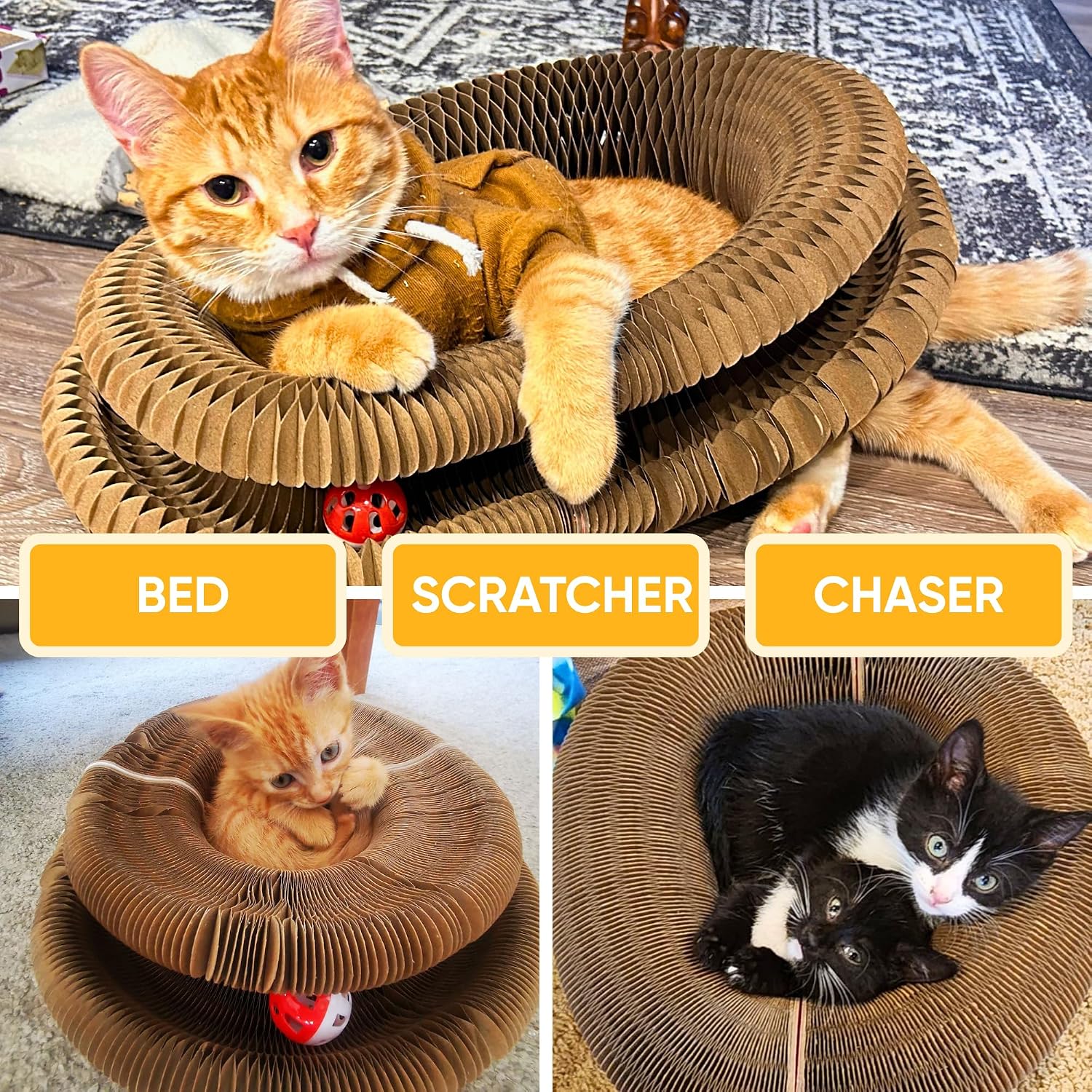 An indoor cat scratching the eco-friendly corrugated surface of the Kitty Kurlz accordion ring.