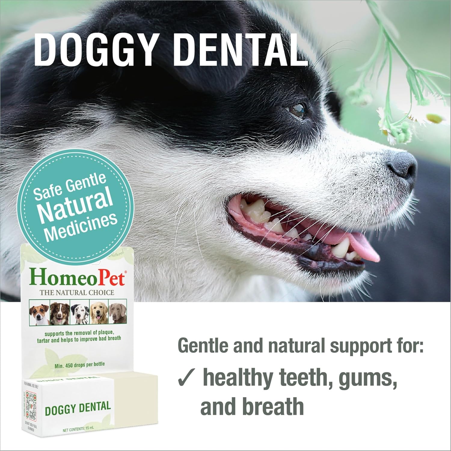 HomeoPet Doggy Dental packaging showing natural dental support