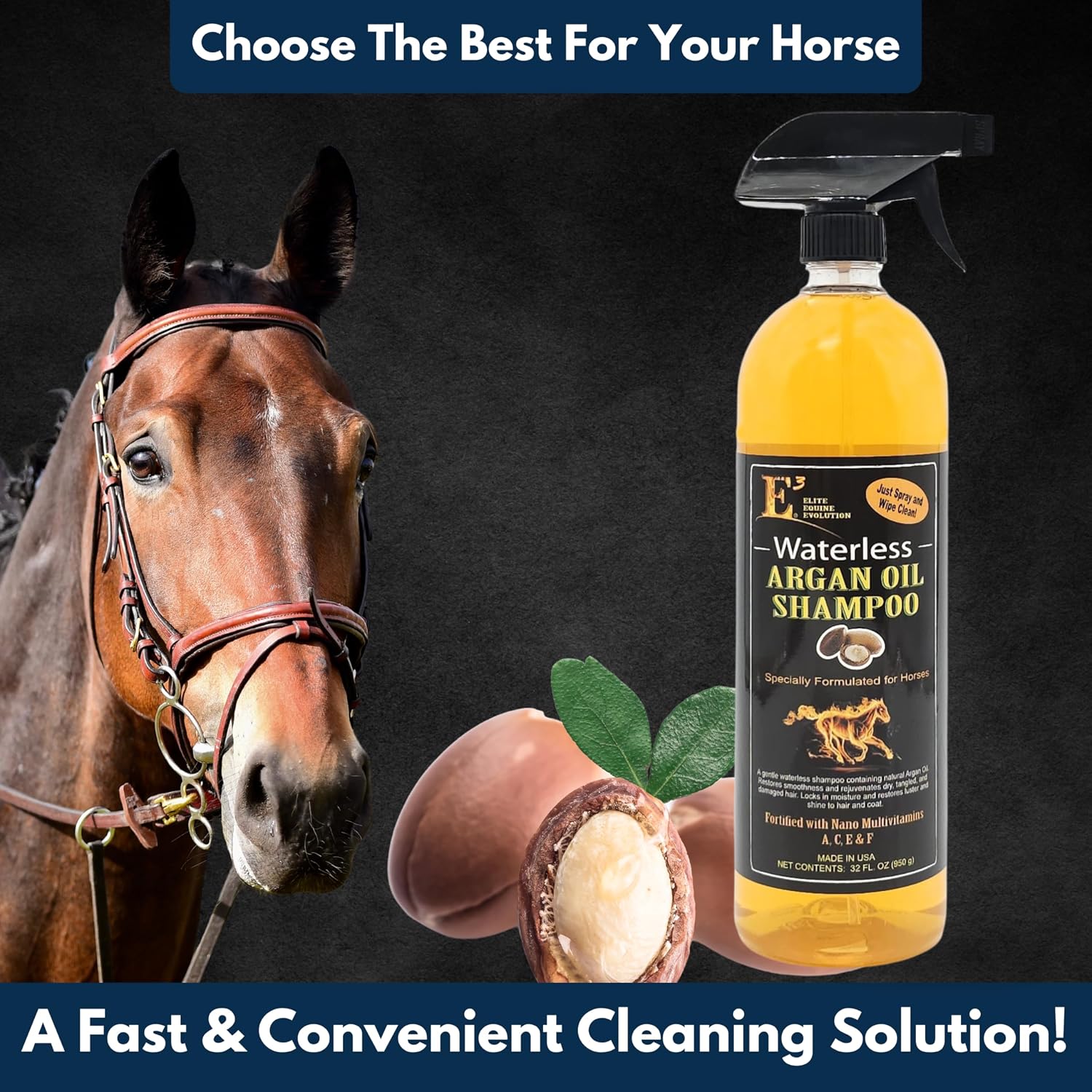 Application of waterless shampoo on a horse coat