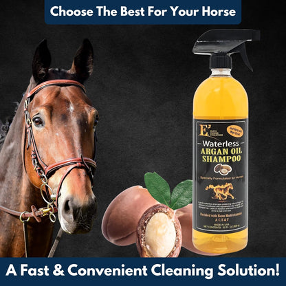 Application of waterless shampoo on a horse coat