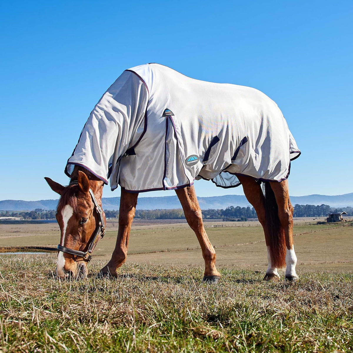 WeatherBeeta horse fly sheet mesh fabric detail