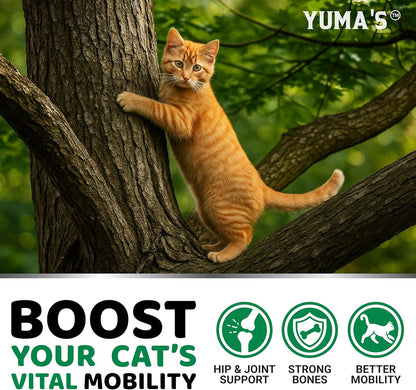Close up of Yuma's chicken flavored soft chews for cats