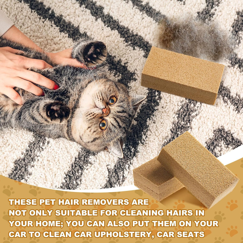 Using RimCereal sponge to clean sofa pet hair