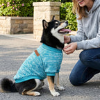 Warm fleece kitten clothing set for cold weather protection