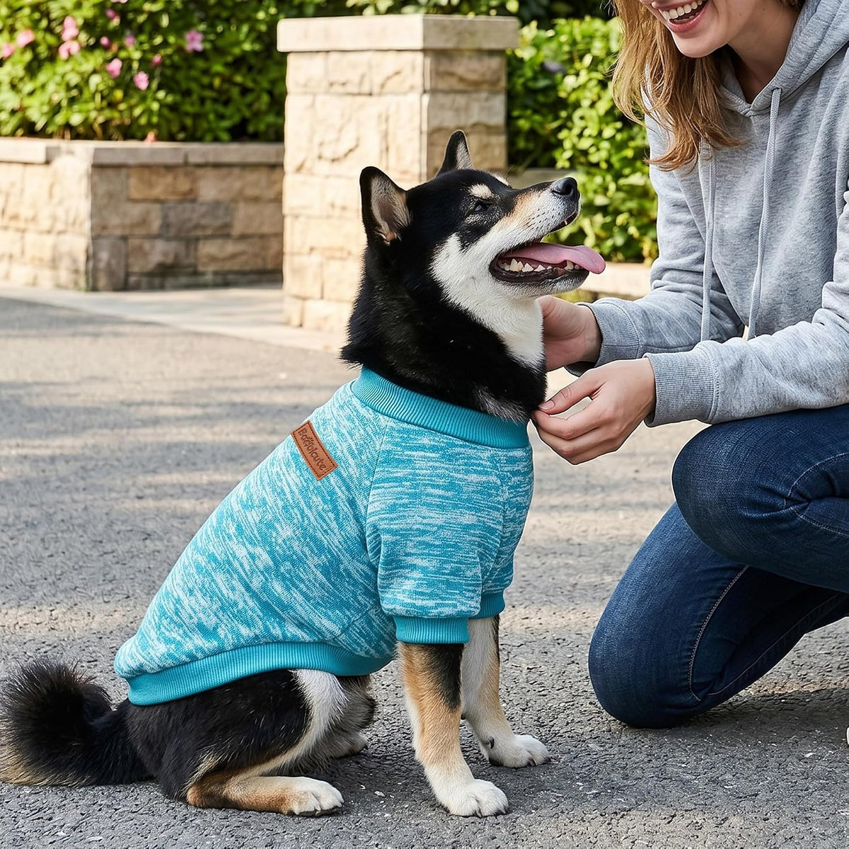 Warm fleece kitten clothing set for cold weather protection