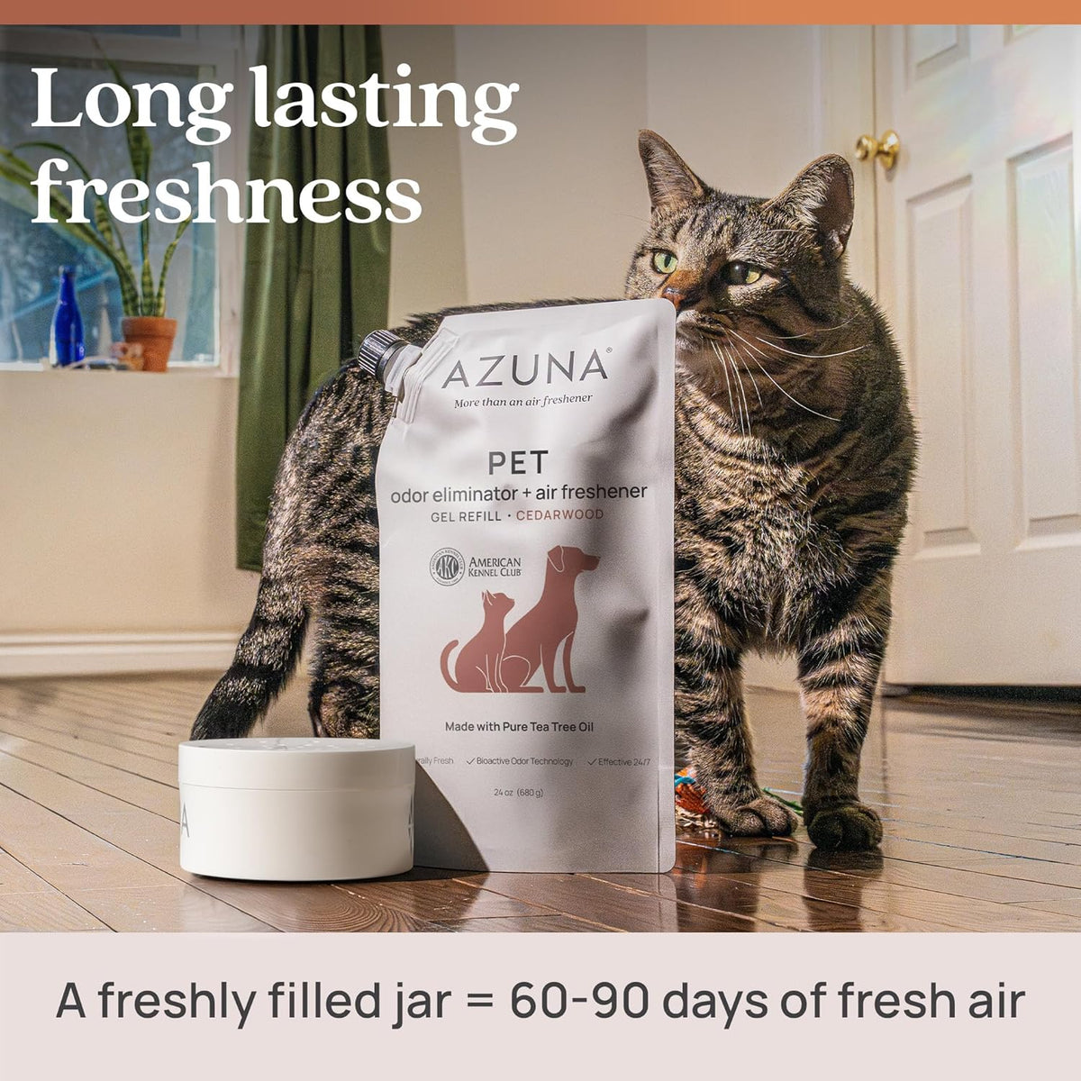 Azuna 8 Ounce cedarwood scent pet area freshness gel pod