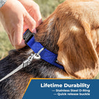 GoTags custom pet collar plastic side release buckle mechanism