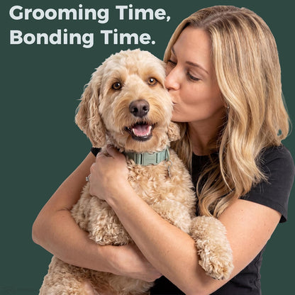 Premium long pin dog brush highlighting safe stainless steel bristles close up.