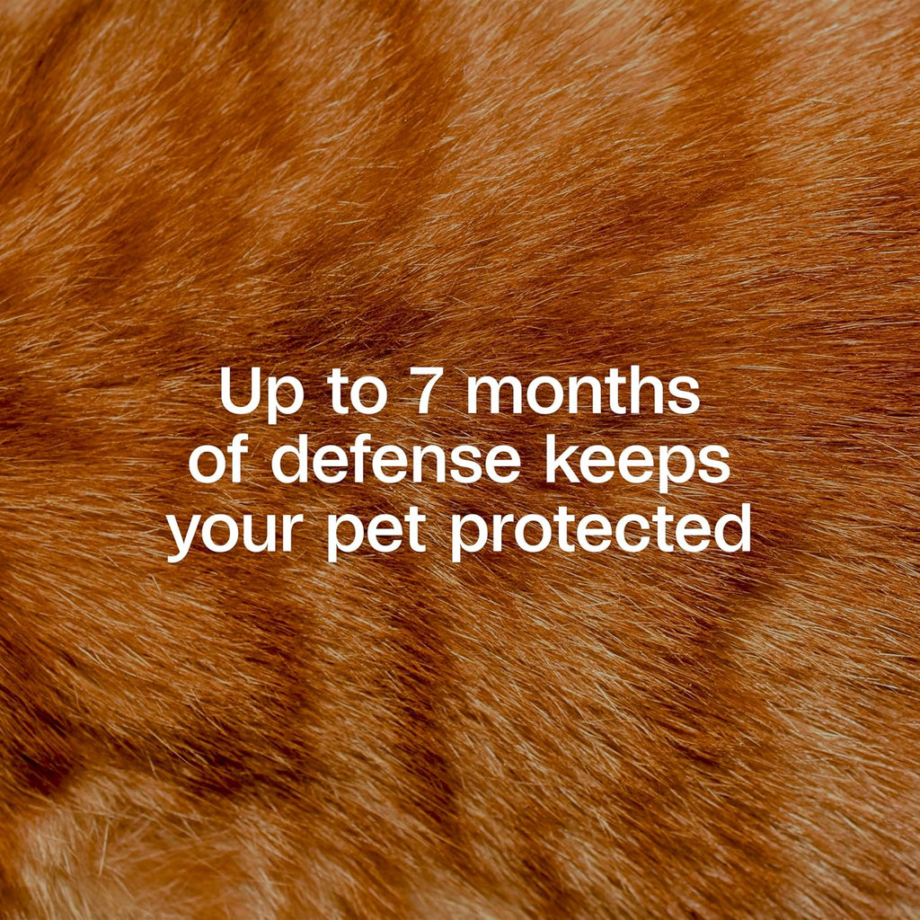 Close up of Adams Plus adjustable flea collar for cats