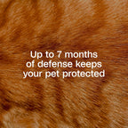 Close up of Adams Plus adjustable flea collar for cats