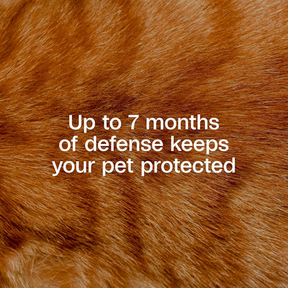 Close up of Adams Plus adjustable flea collar for cats