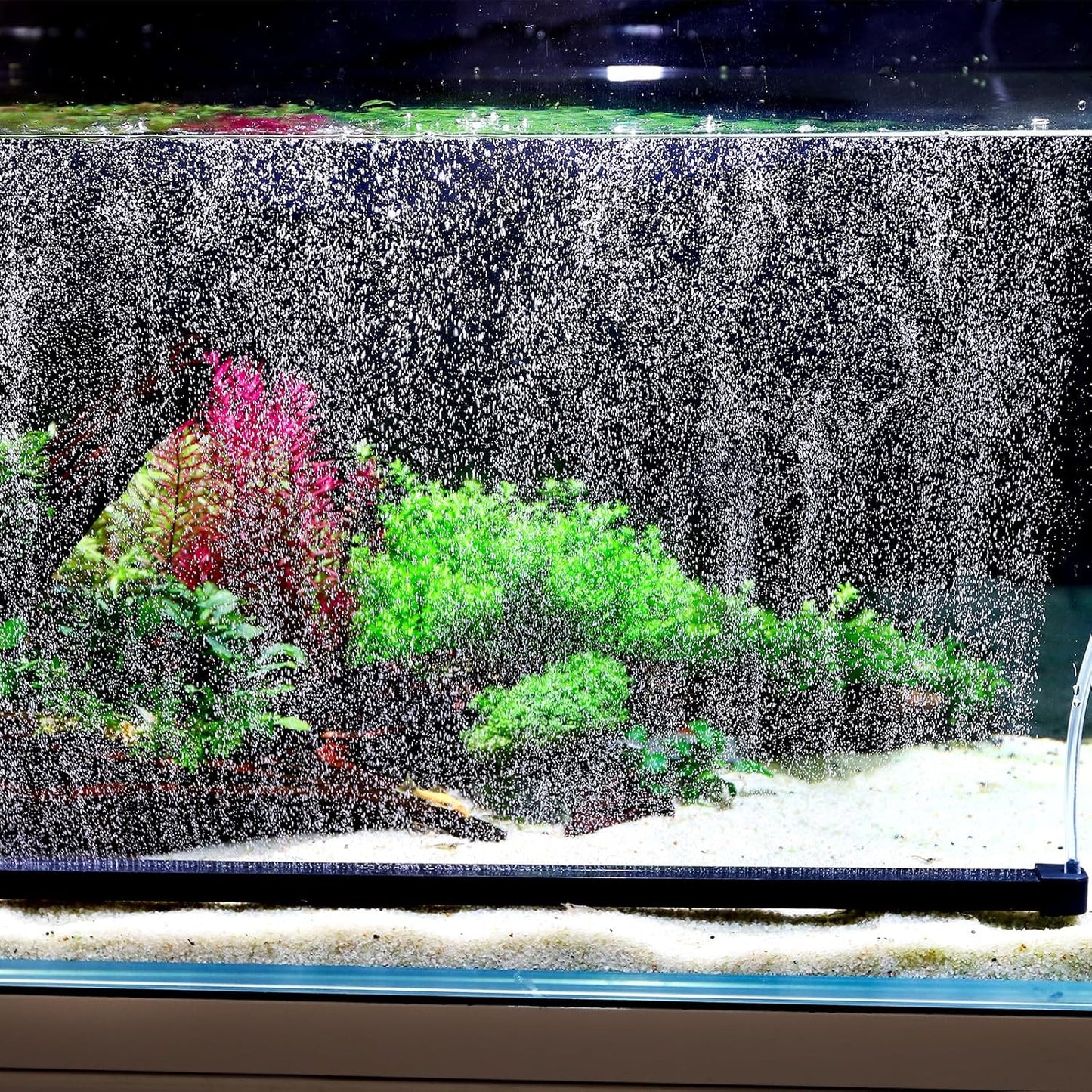 Hygger nano mist fish tank bubbler connected to airline tubing close up view