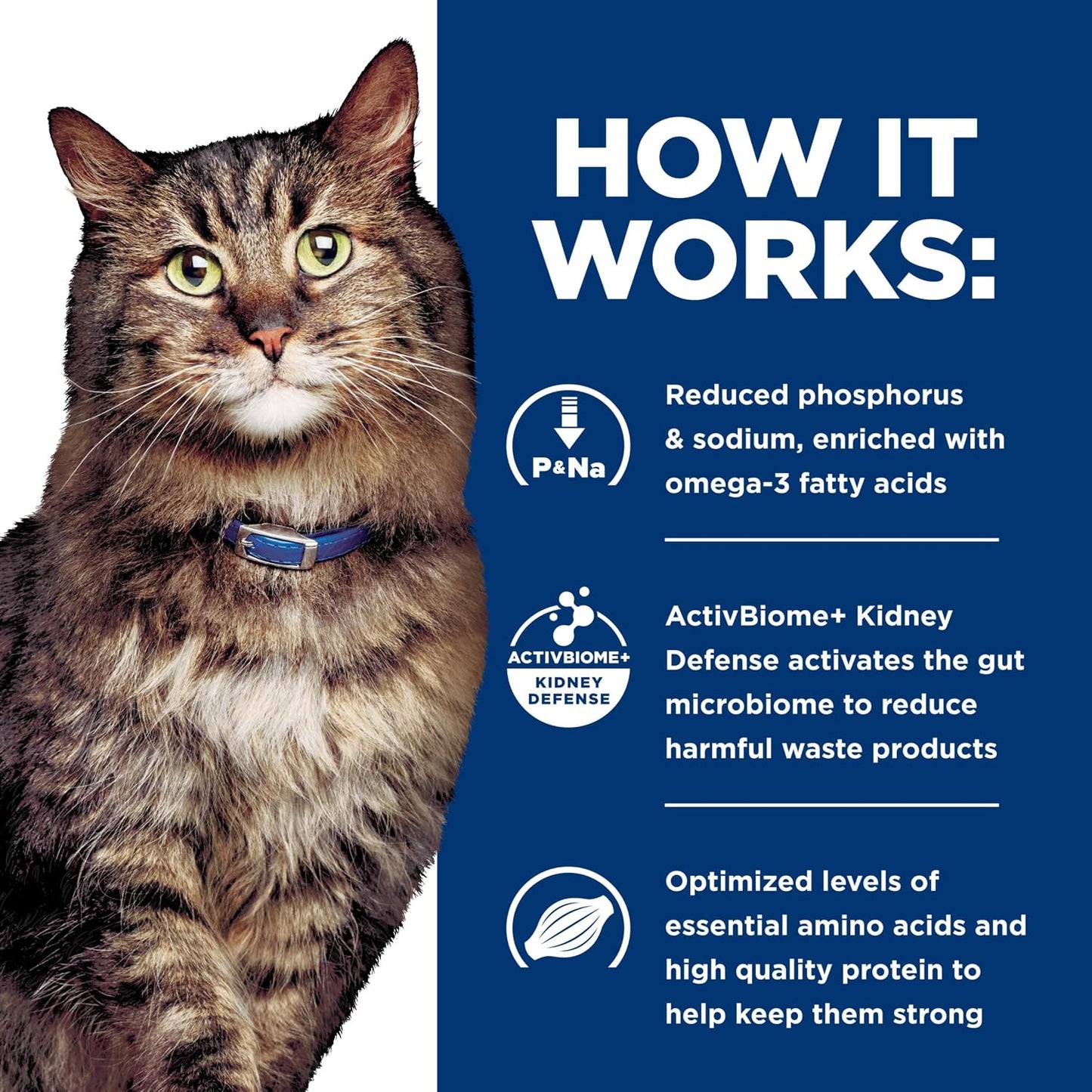 Hill's Prescription Diet k/d Early Support Kidney Care Dry Cat Food, Chicken, 4 lb. Bag - Image 10