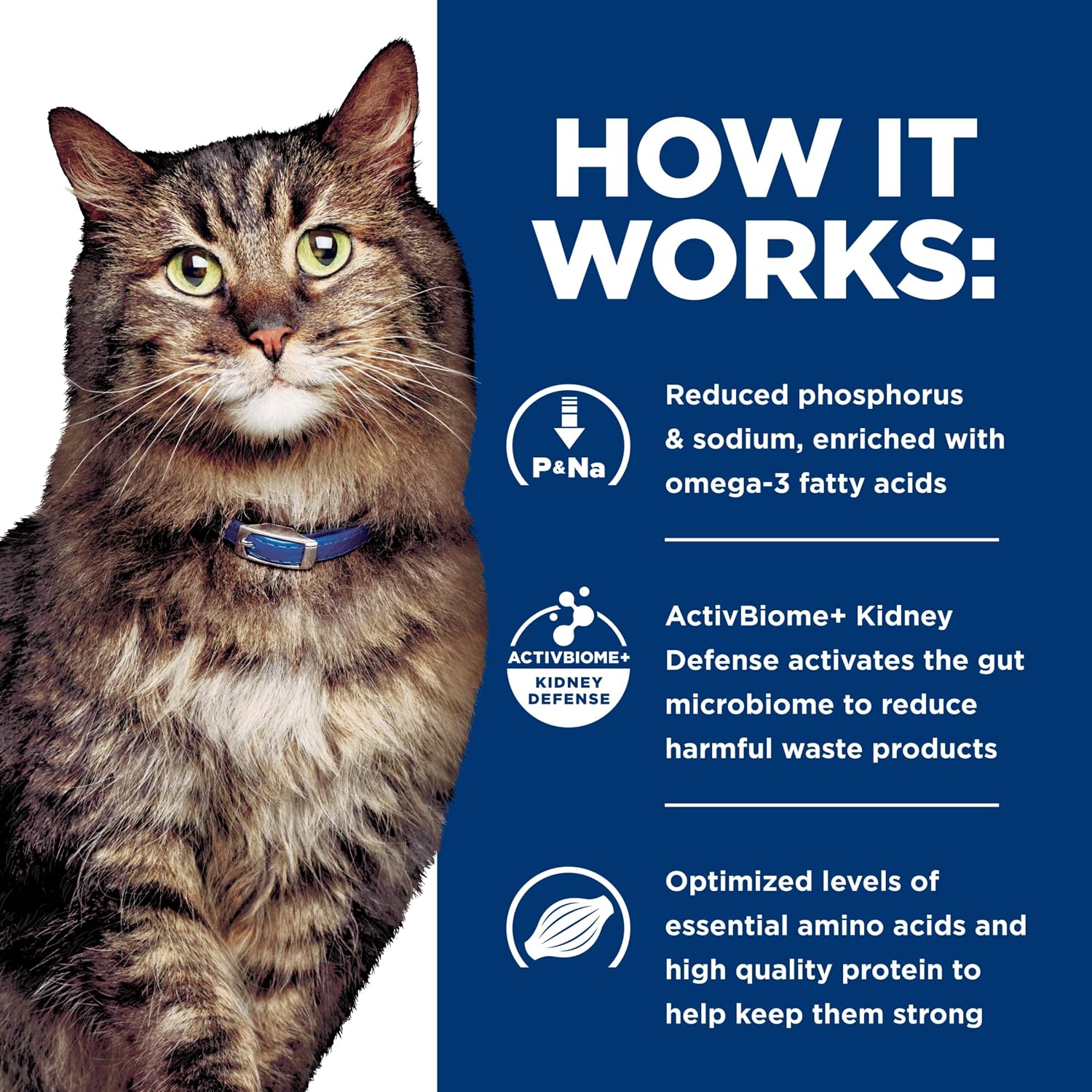 Hill's Prescription Diet k/d Early Support Kidney Care Dry Cat Food, Chicken, 4 lb. Bag - Image 10