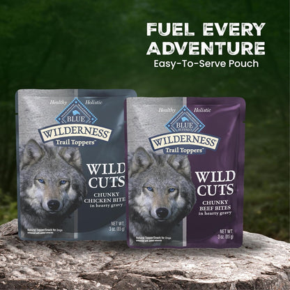Blue Buffalo Wilderness dog food pouches 12 count pack