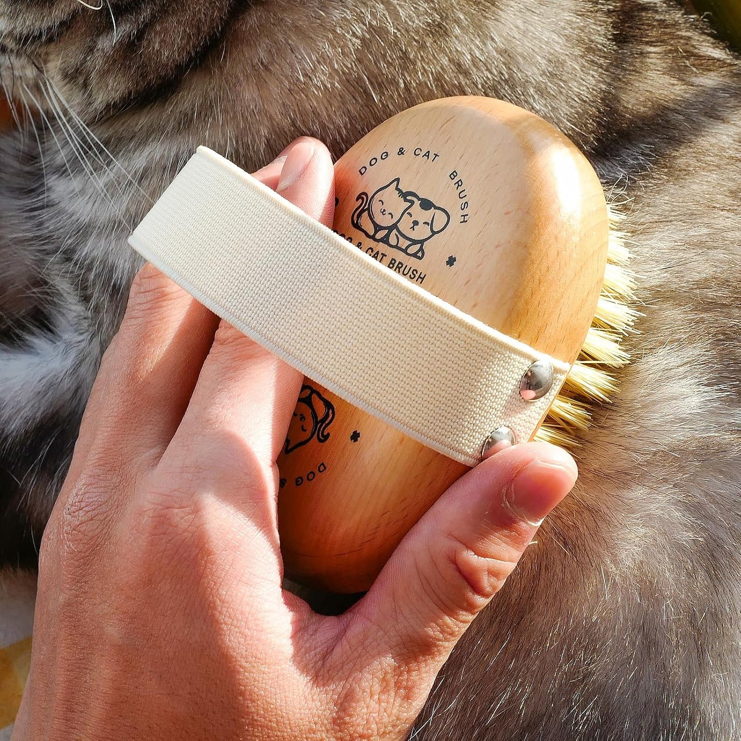 Close up view of the durable wooden handle and soft bristles of the menesia brush.