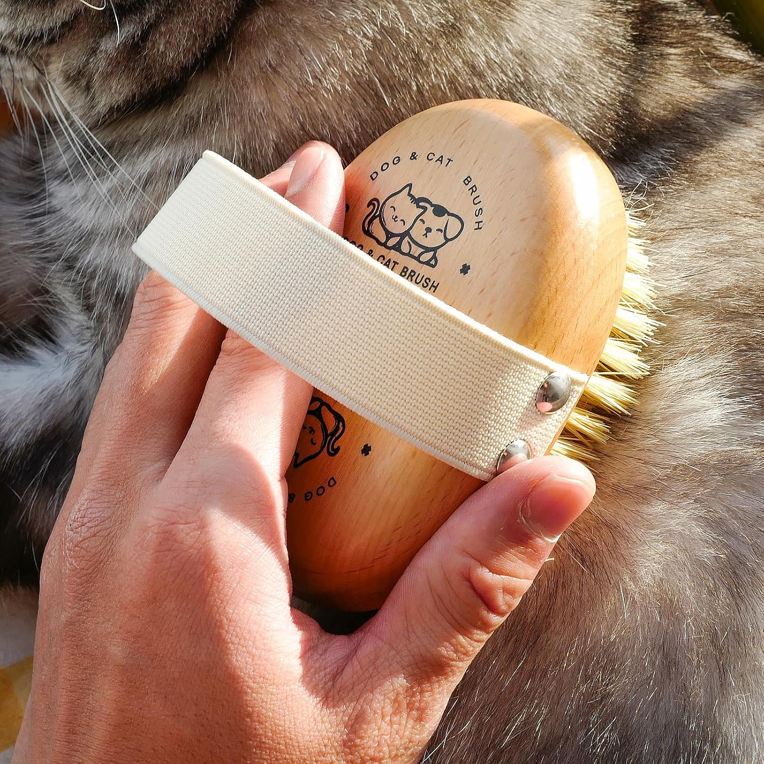Close up view of the durable wooden handle and soft bristles of the menesia brush.