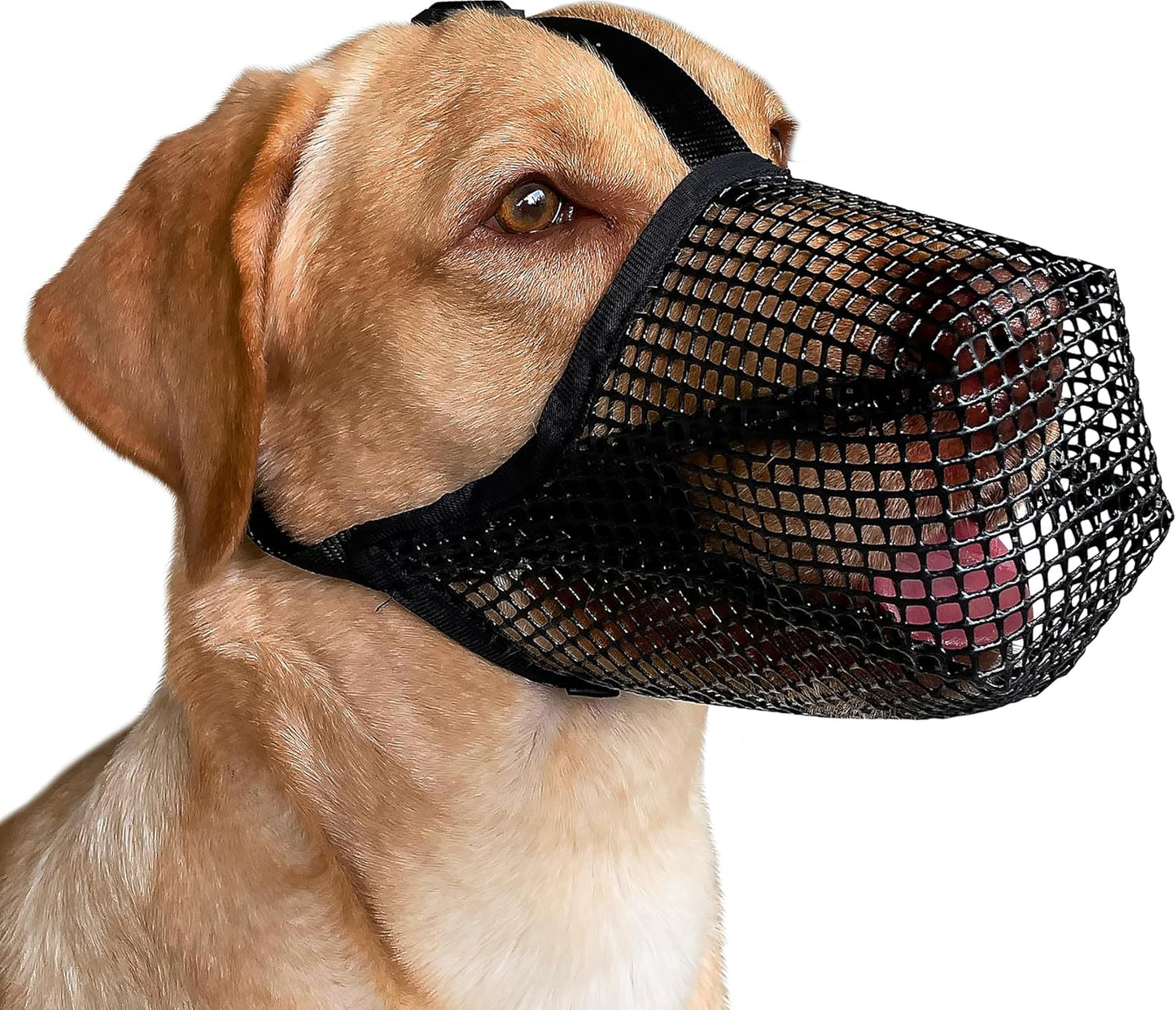 Mayerzon dog muzzle front view showing the breathable black nylon mesh mouth guard.