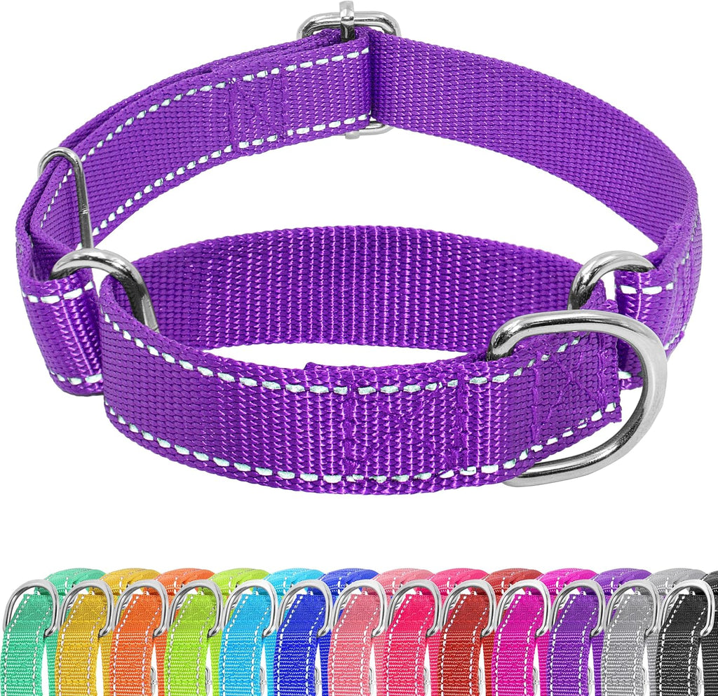 Seyezo martingale slip collar side perspective emphasizing the buckle free design architecture