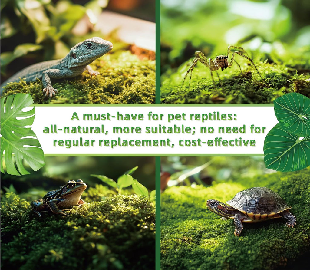 Live moss sheet for reptile habitat bedding