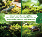 Live moss sheet for reptile habitat bedding