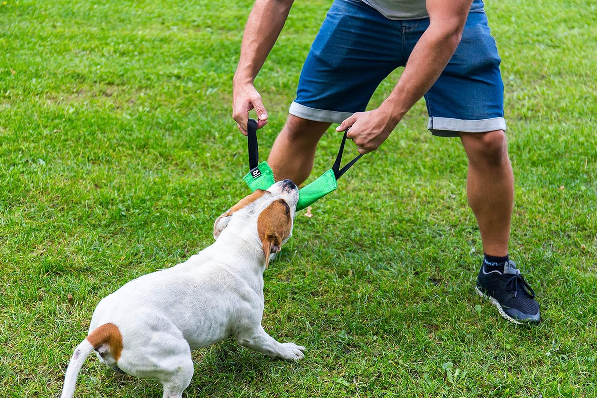 Bull Fit premium imported pet gear interactive reward item for large working dogs.