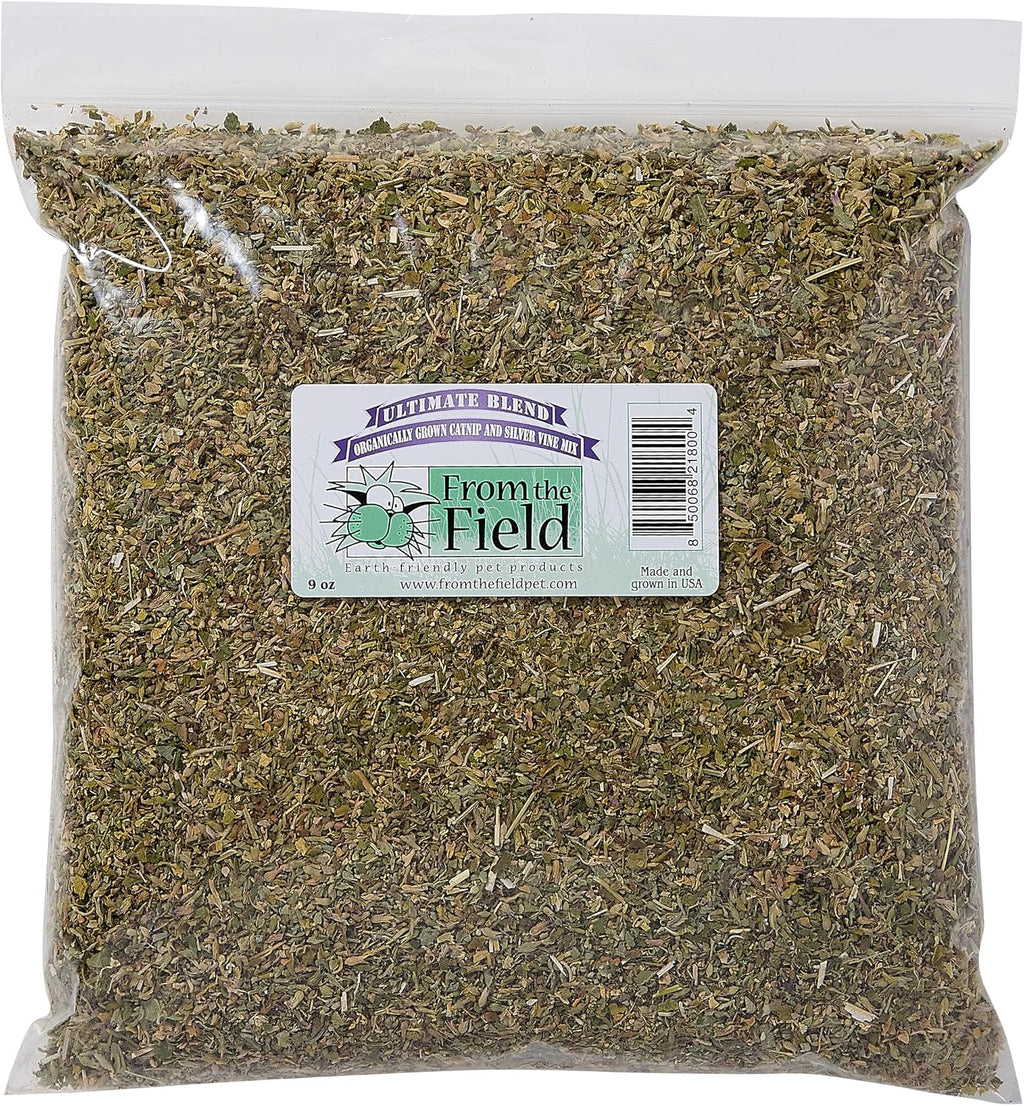 Full view of USA grown catnip and silver vine tub
