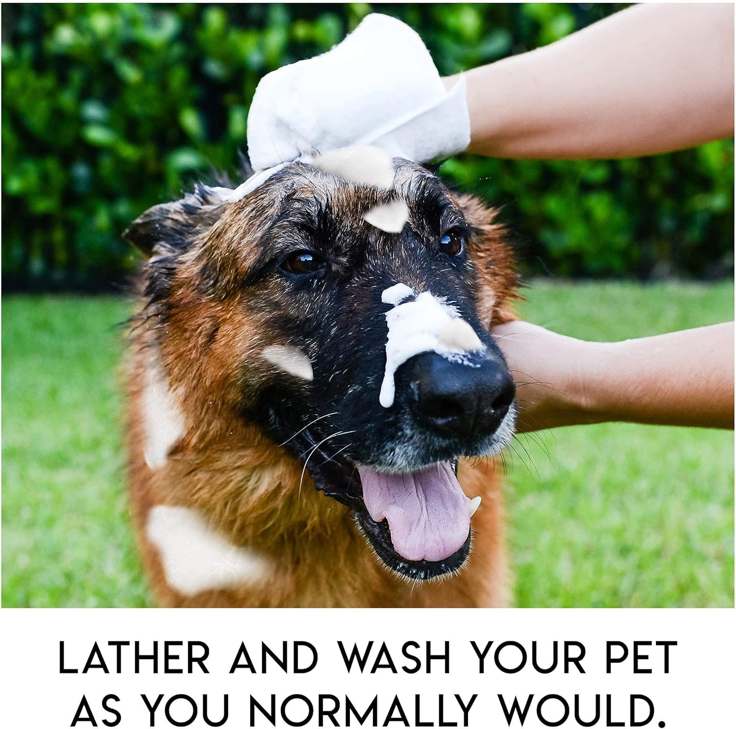 Scrubby Pet shampoo mittens for sensitive skin pets