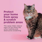Comfort Zone cat calming spray bottle next to product label details