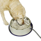 K&H Pet Products Thermal-Bowl Heated Water Bowl for Cats & Dogs Outside, Safety Listed Outdoor Heated Dog Dish for Pets, Automatic No Freeze, Anti Chew Cord - 96 Ounces Blue 25W - Image 11