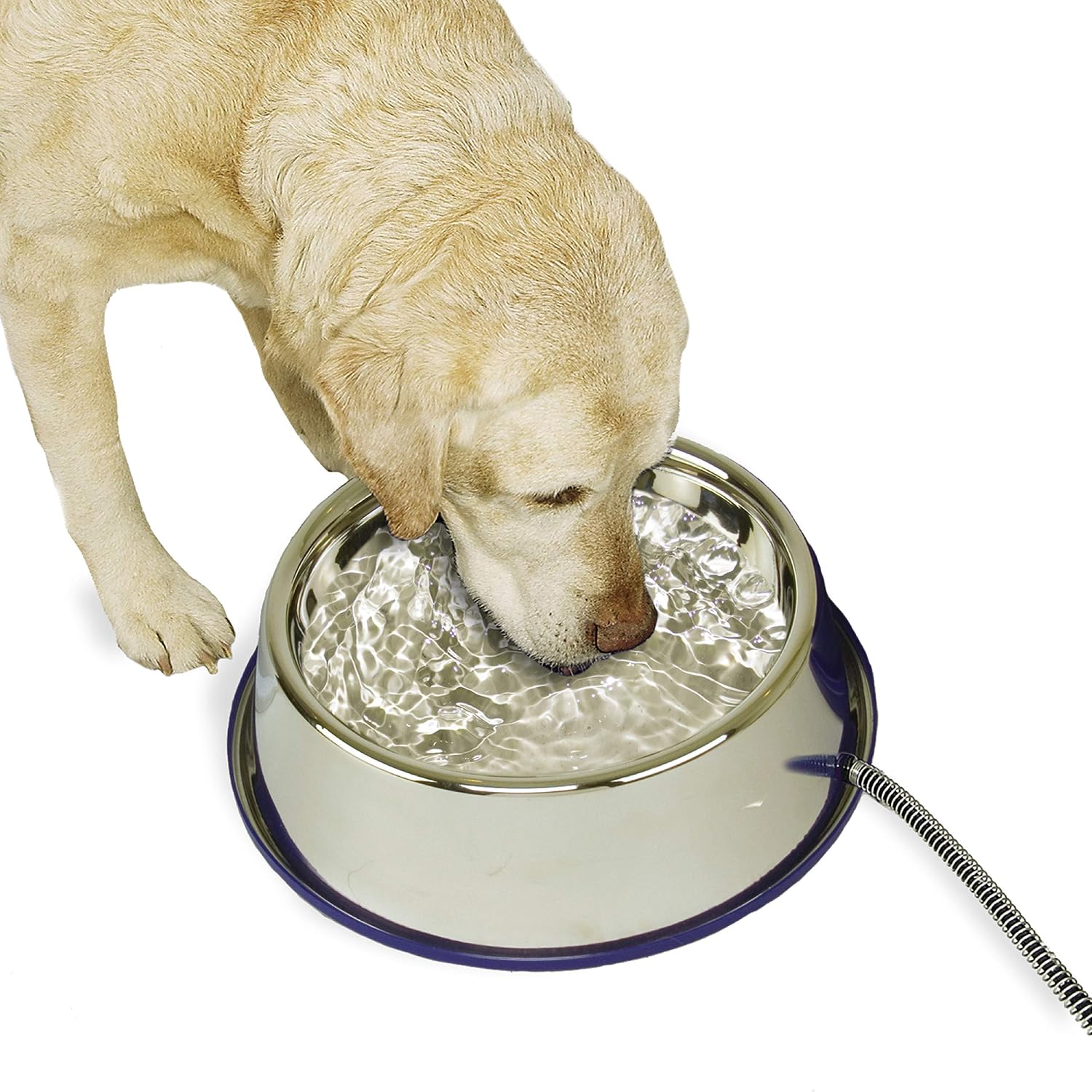 K&H Pet Products Thermal-Bowl Heated Water Bowl for Cats & Dogs Outside, Safety Listed Outdoor Heated Dog Dish for Pets, Automatic No Freeze, Anti Chew Cord - 96 Ounces Blue 25W - Image 11