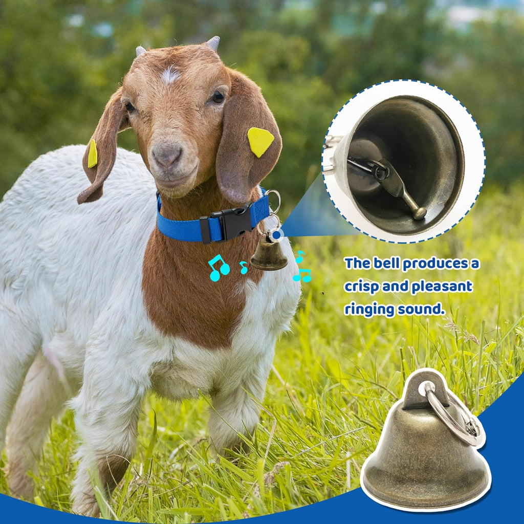 Aluzaemo heavy duty anti lost small livestock collar set showing weather resistant nylon and stainless steel D ring.