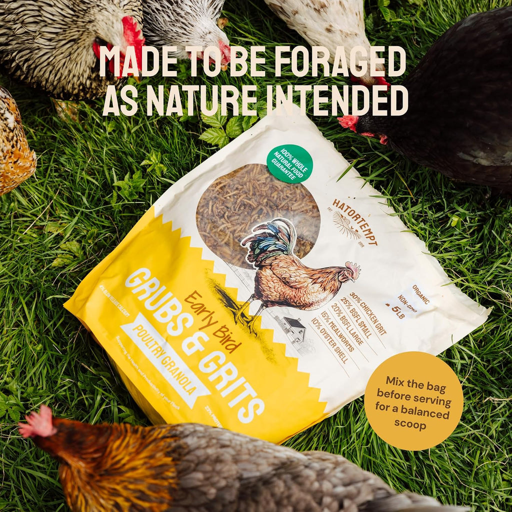 Hatortempt high calcium chicken treats pouring into a feeding trough