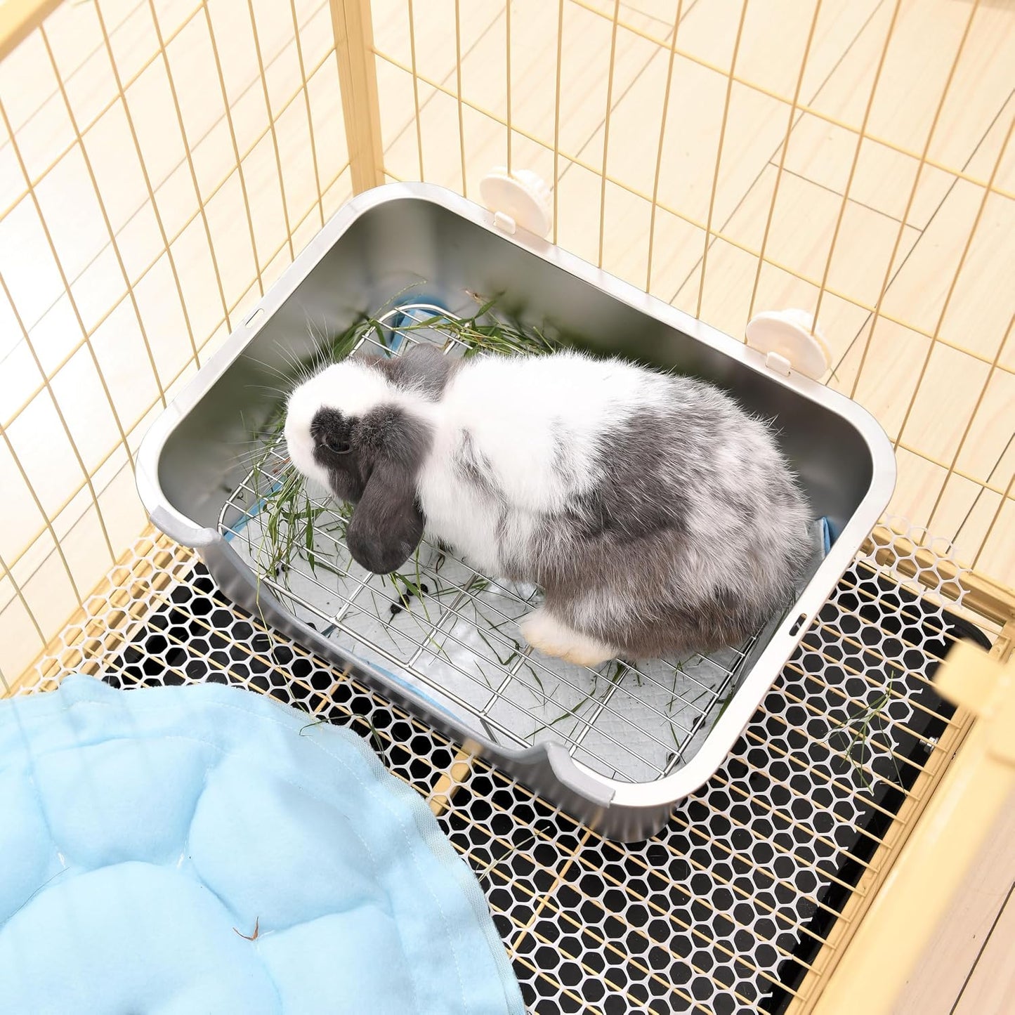 Sorstrem rabbit toilet box with included cleaning accessories