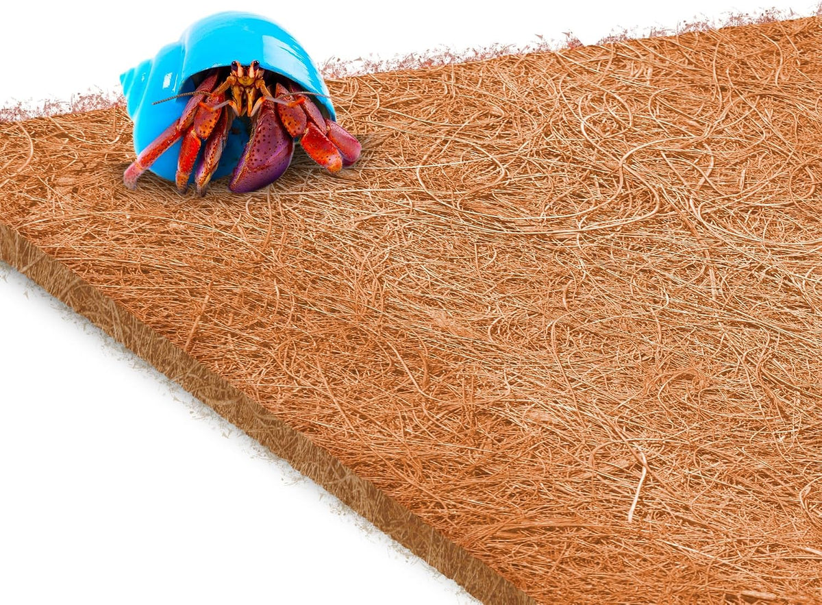Close up view of natural coconut husk fibers used in SunGrow pet mat