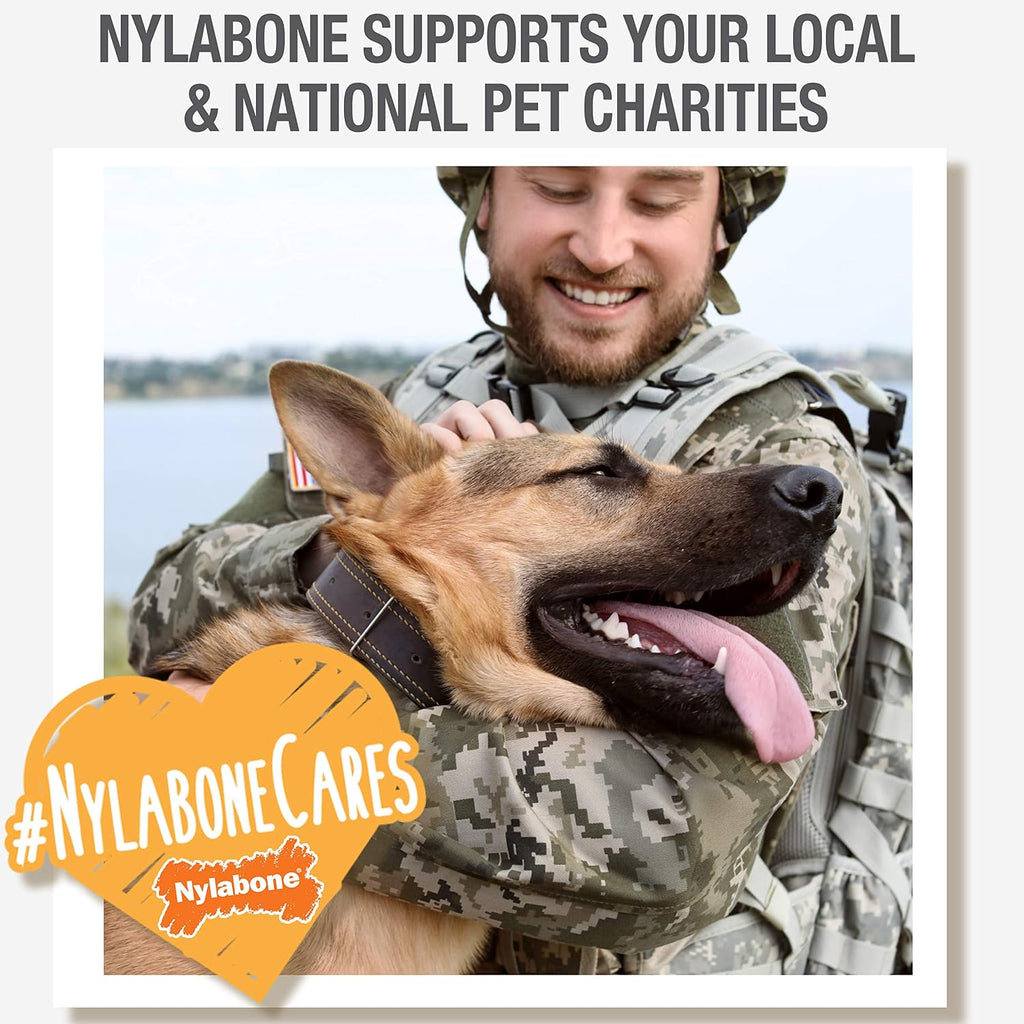 Nylabone Nubz premium imported pet treats packaging showing size guide for dogs under twenty five pounds