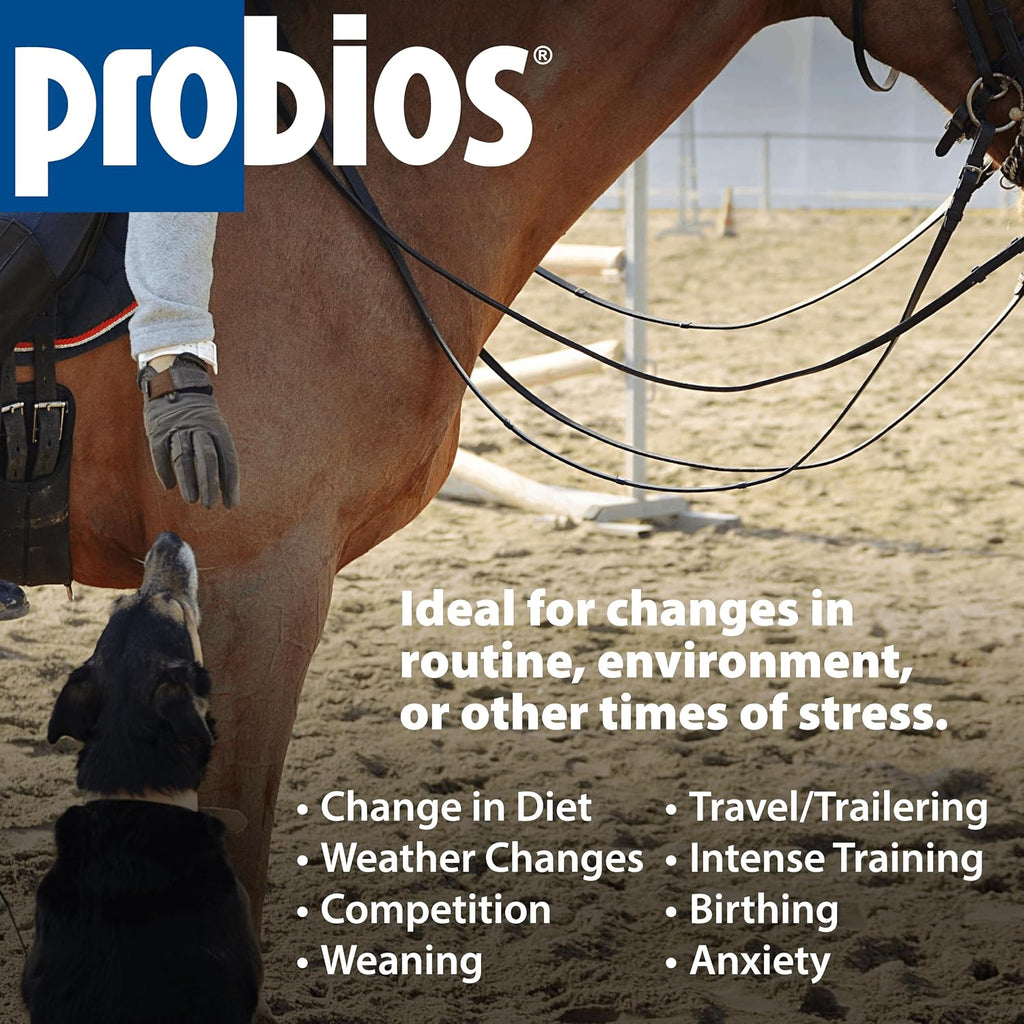 Probios probiotic supplement bucket side profile