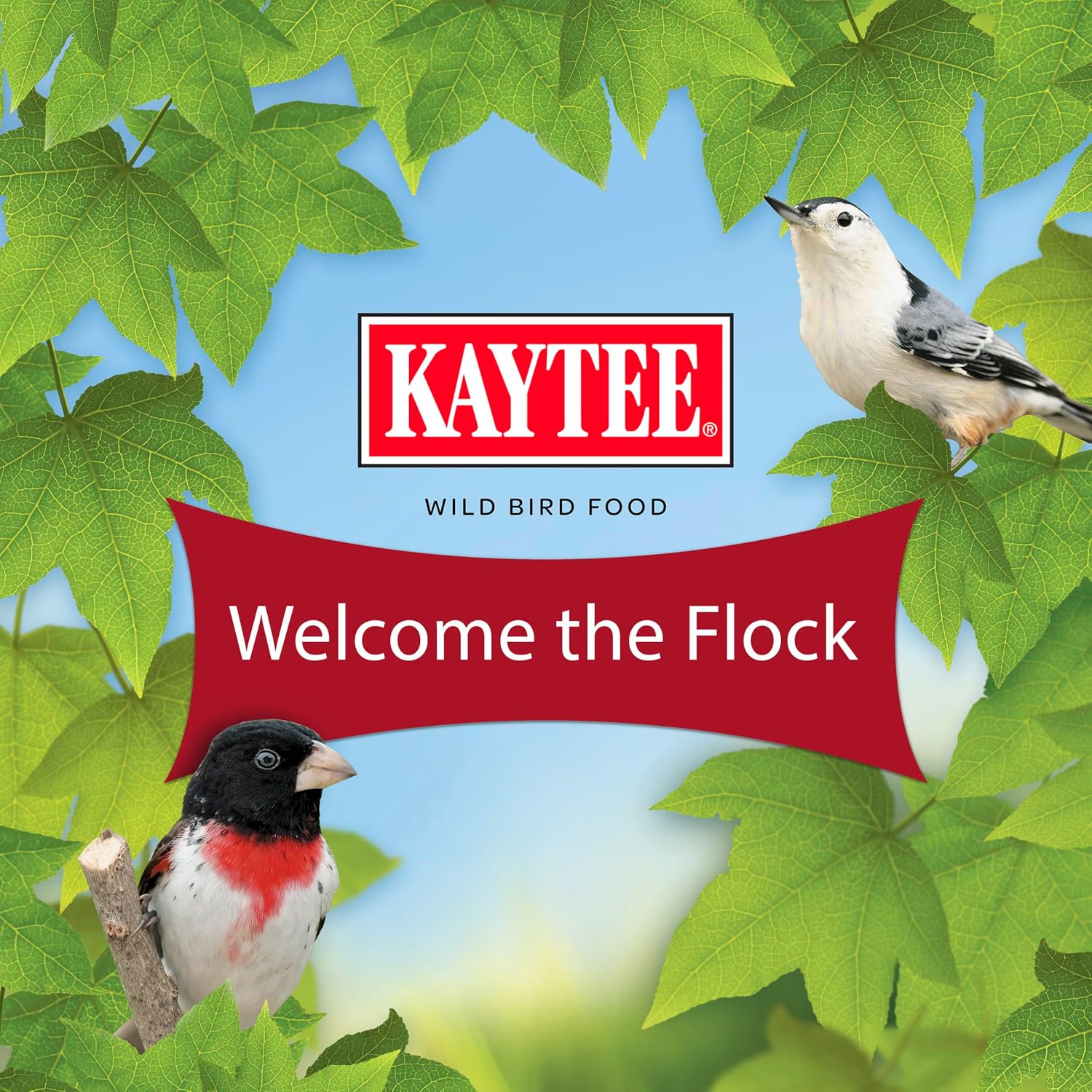Kaytee Wild Bird Finch Food Blend, 3 lb - Image 14