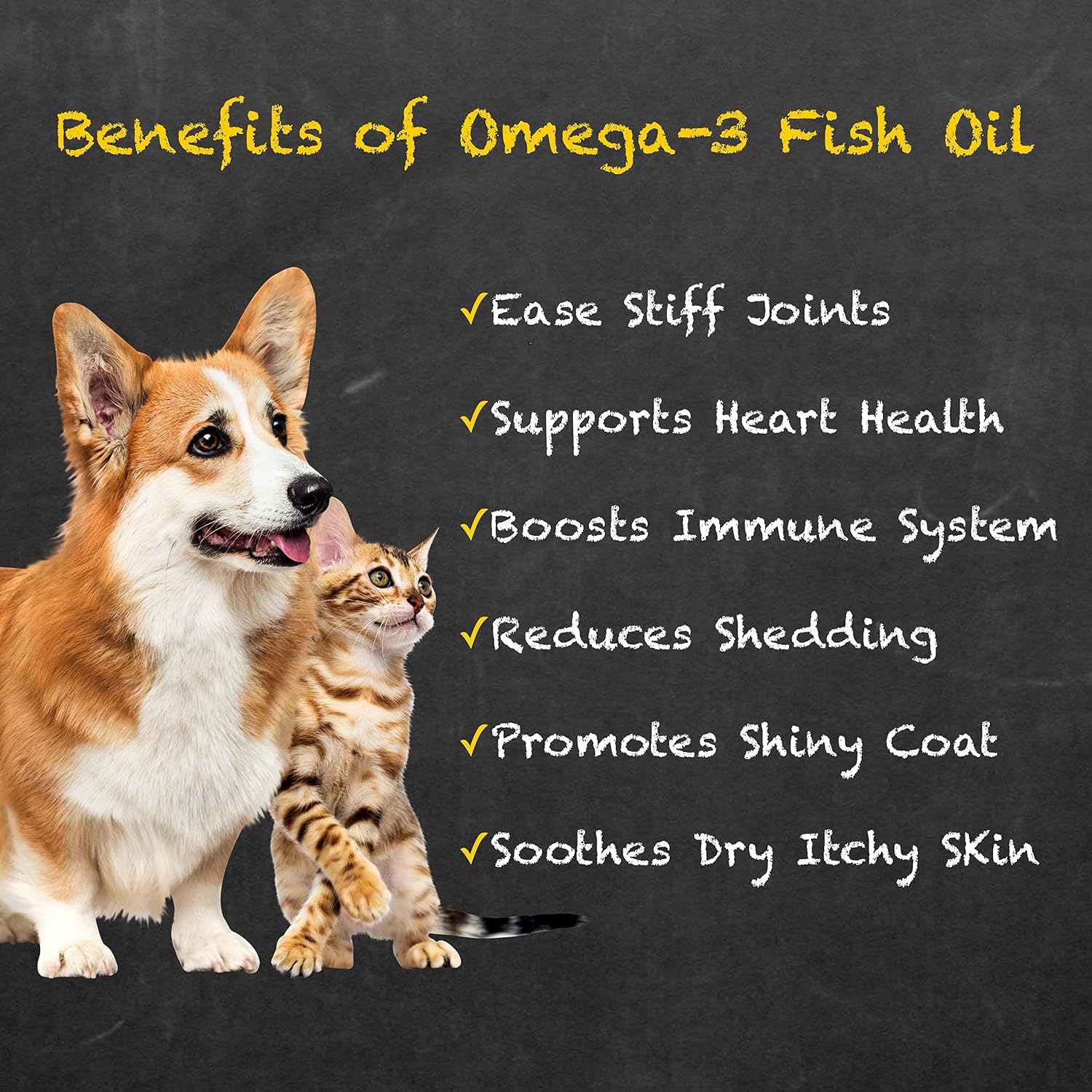 Natural EPA and DHA fatty acids liquid supplement for itching relief in pets.