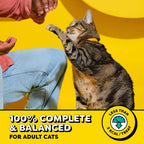 Temptations ShakeUps Crunchy Cat Treats, Clucky Carnival, 5.29 oz - Image 4