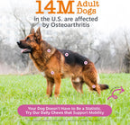 Imported Zesty Paws dog glucosamine bacon flavor soft chews packaging