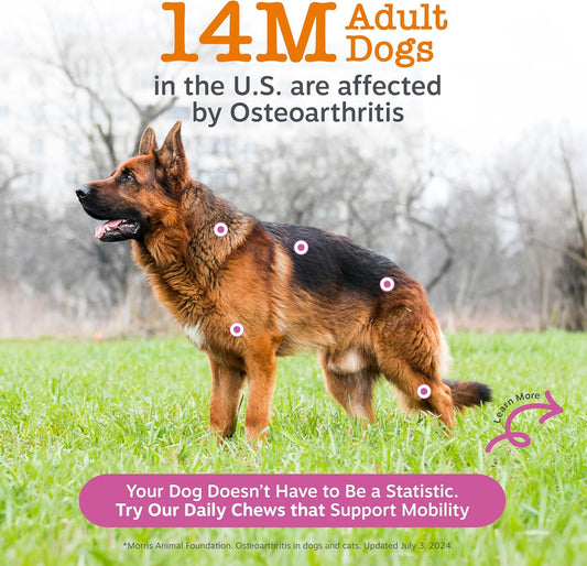 Imported Zesty Paws dog glucosamine bacon flavor soft chews packaging