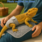 Flat lay showing the complete two-piece bearded dragon diaper and liner set