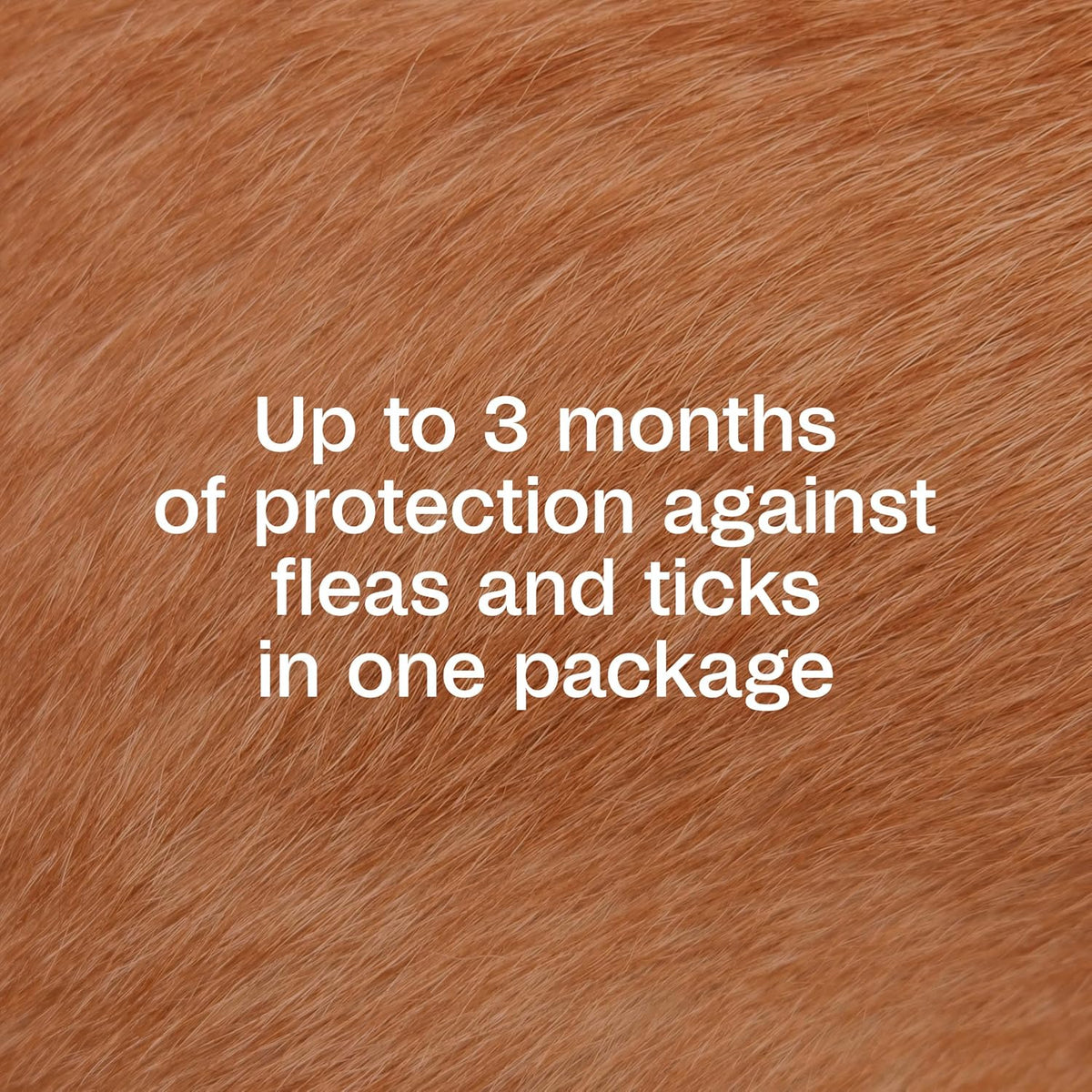 Waterproof flea and tick spot on application instructions graphic