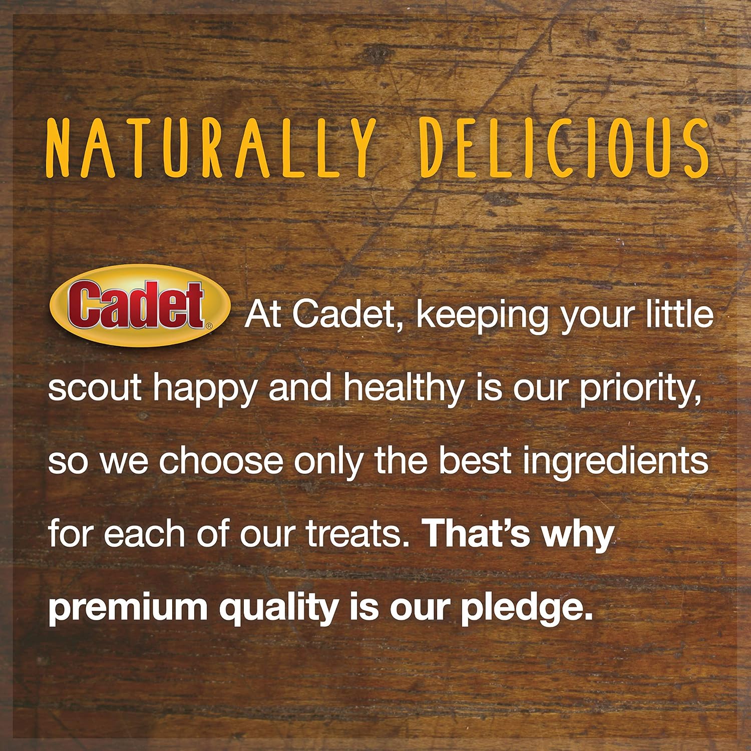 Cadet beef strips packaging highlighting single ingredient formula