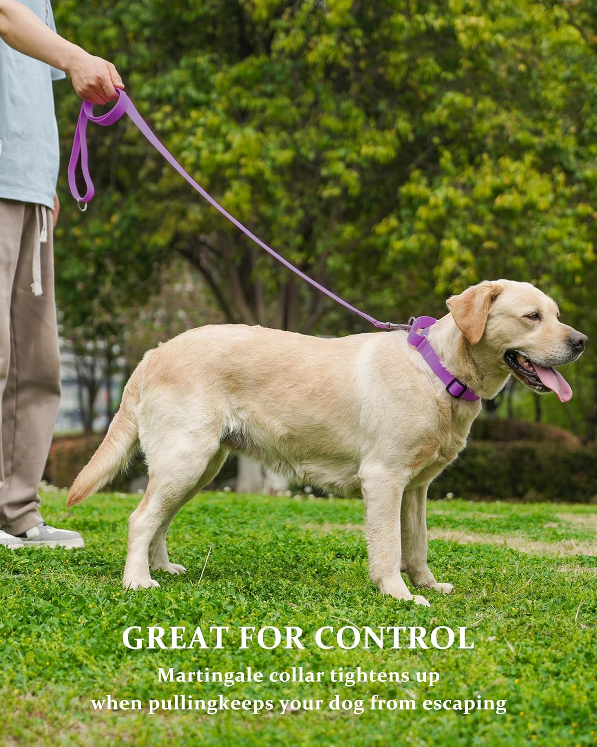 Adjustable slider mechanism on Kidding Pets martingale collar