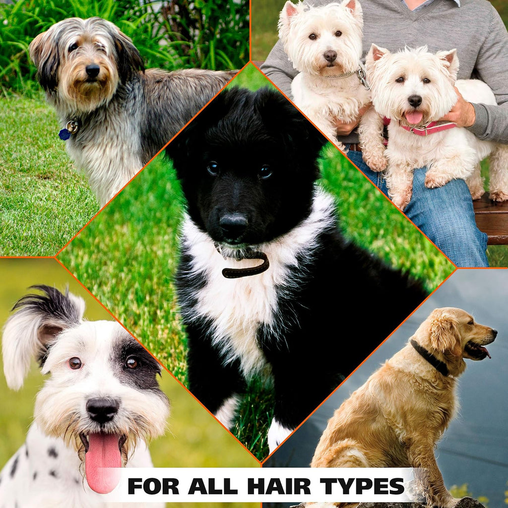 Authentic Wahl USA grooming product for dogs on display
